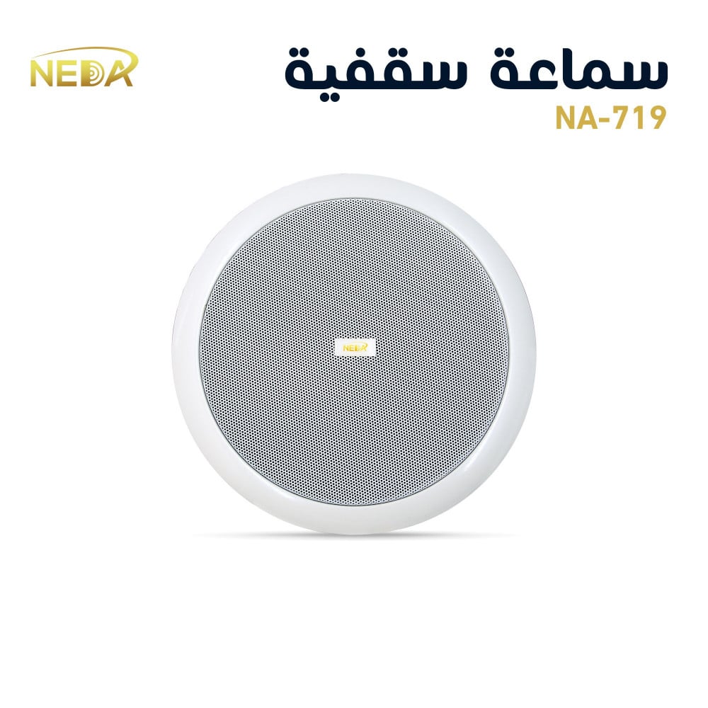 Ceiling Speaker 20cm NA-719