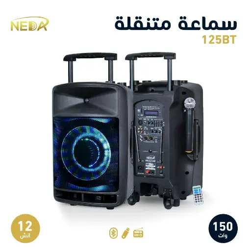 مكبر صوت 12 بوصة مع بطارية قابلة للشحن Rechargeable Speaker 125BTT